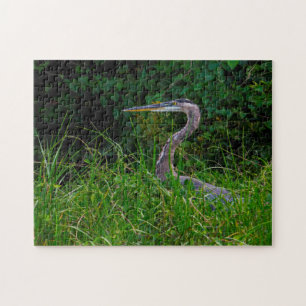 Heron Beach Florida. Jigsaw Puzzle