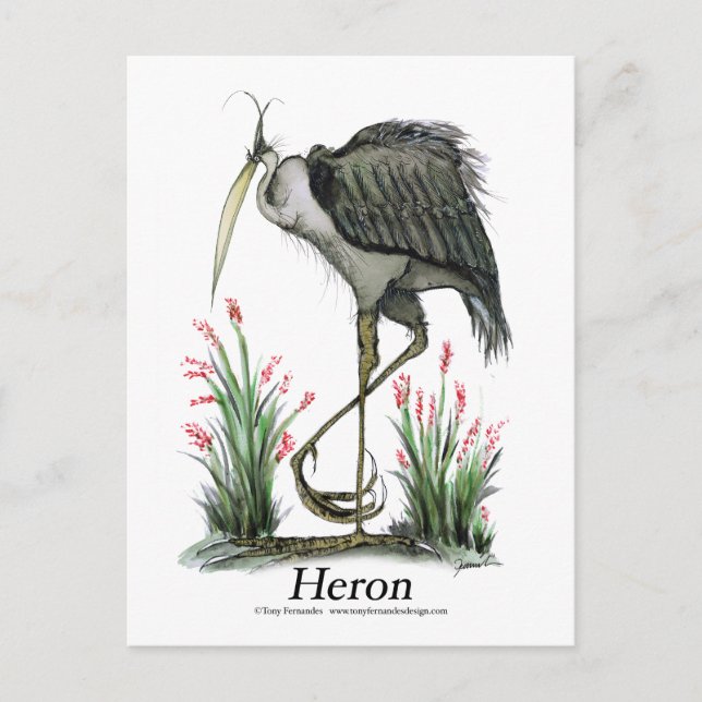 Heron bird, tony fernandes postcard (Front)