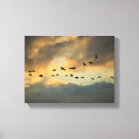 Heron birds migrating at sunset