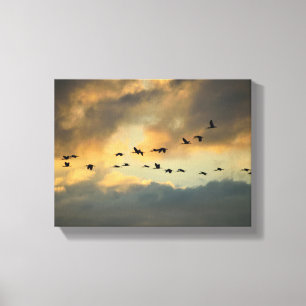 Heron birds migrating at sunset canvas print