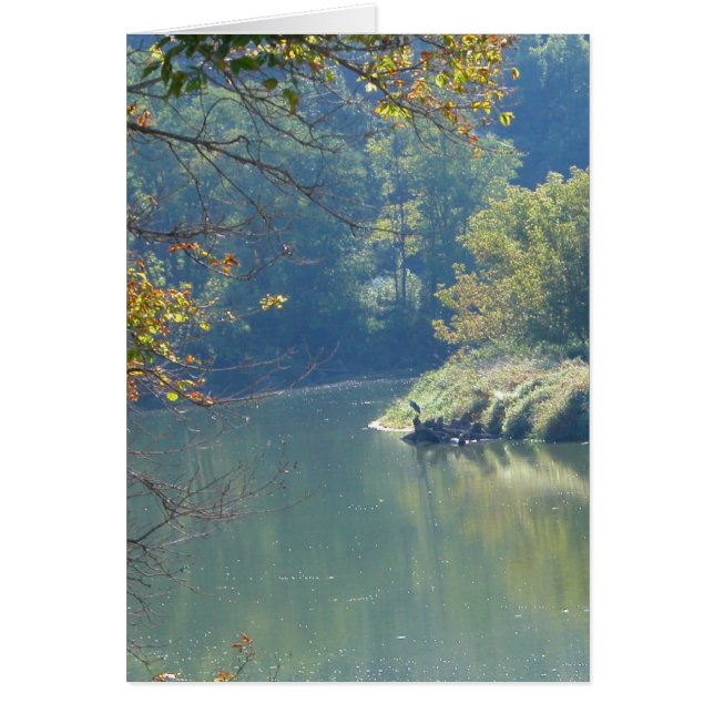 Heron by the River (Front)