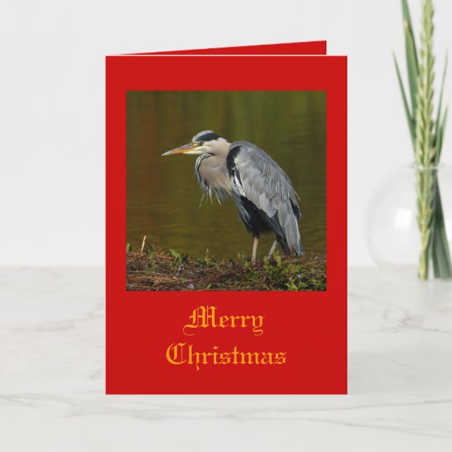Heron Christmas Cards (Front)