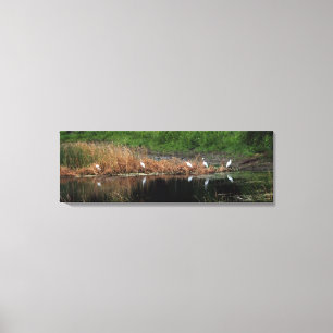 Heron Family - right side Canvas Print