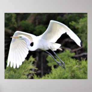 Heron Flying Poster