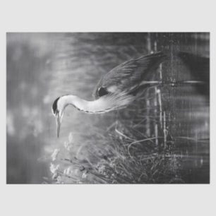 Heron in the Marsh Black and White Decoupage Tissue Paper