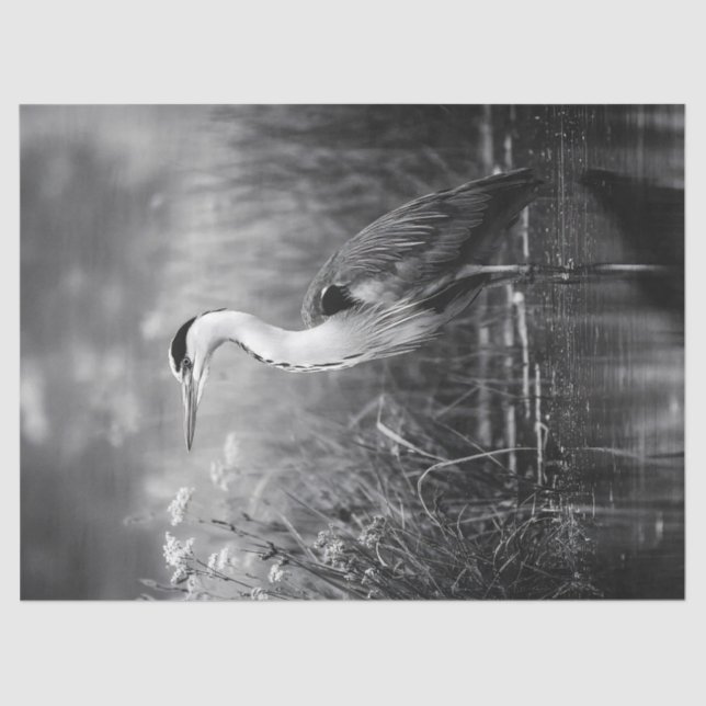 Heron in the Marsh Black and White Decoupage Tissue Paper (Front)