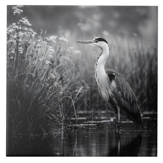 Heron in the Marsh Black and White Tile (Front)