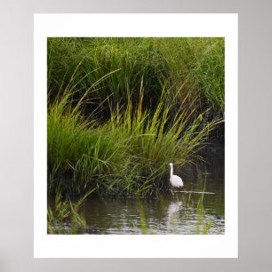 Heron in the Marsh Poster