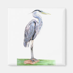 Heron Magnet
