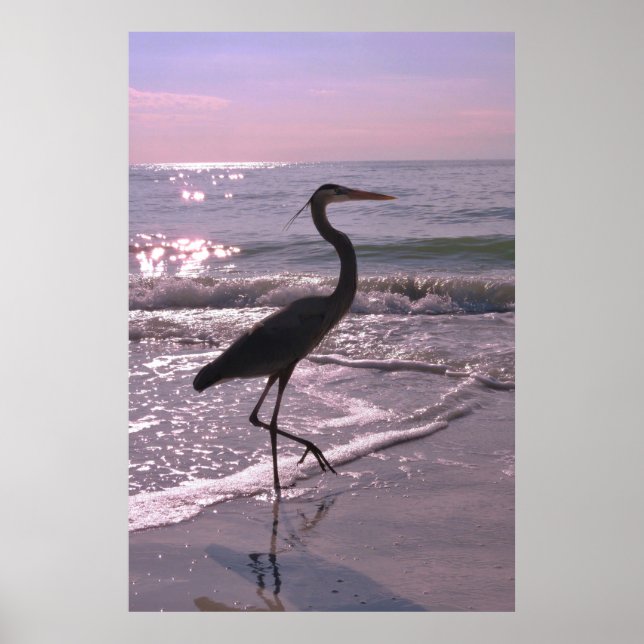 Heron on a Stroll Poster (Front)