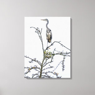 Heron on a tree view canvas print