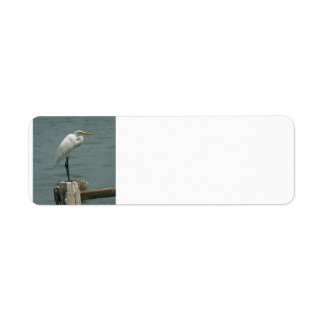 Heron on Piling