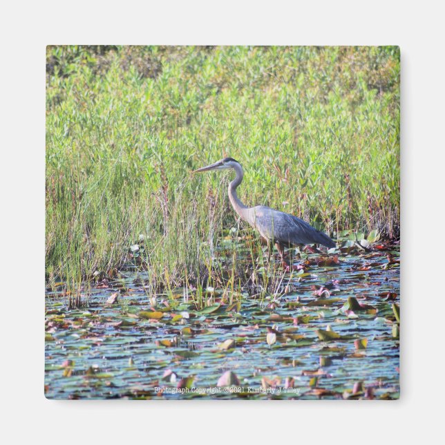 Heron P6450 Magnet (Front)