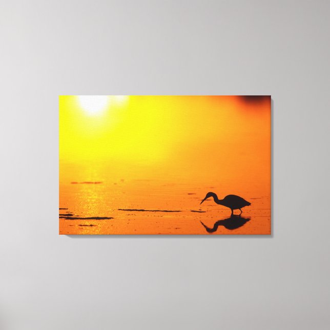 Heron silhouette at sunset, Florida Canvas Print (Front)