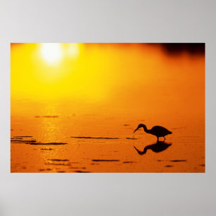 Heron silhouette at sunset, Florida Poster