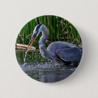 Heron Splash