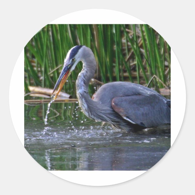 Heron Splash Classic Round Sticker (Front)