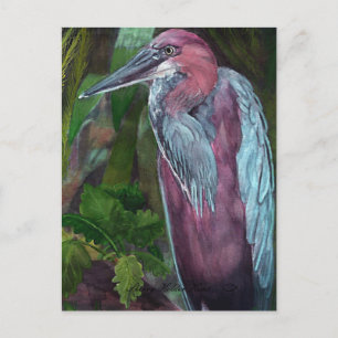 Heron Standing Alone 2 Postcard