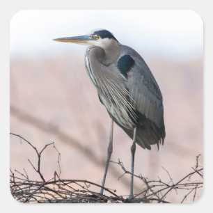 Heron Sticker