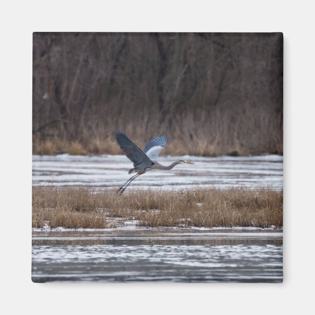 Heron Take Off Magnet (Front)