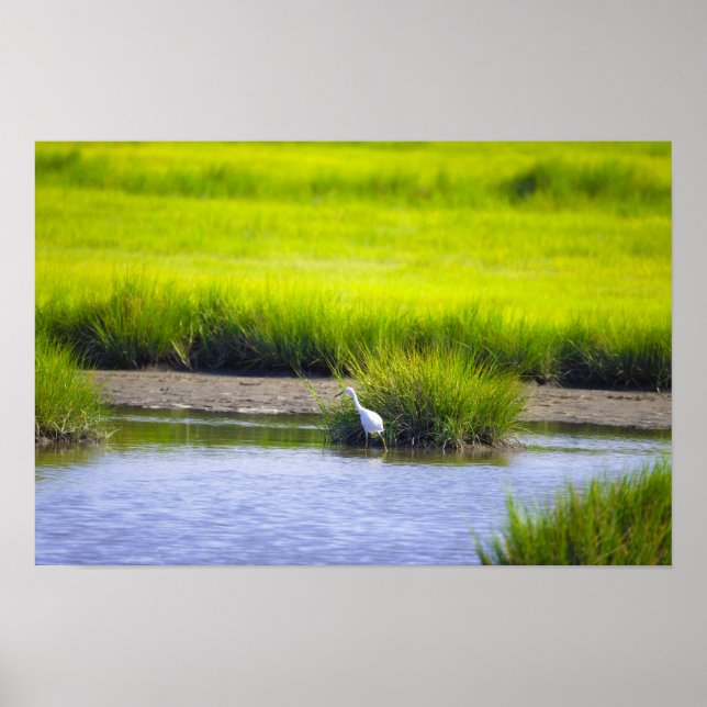 Heron Waterscape Poster (Front)