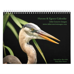Herons and Egrets 2025 Calendar