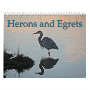 Herons and Egrets Calendar