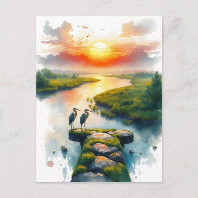 herons at sunset postcard (Front)