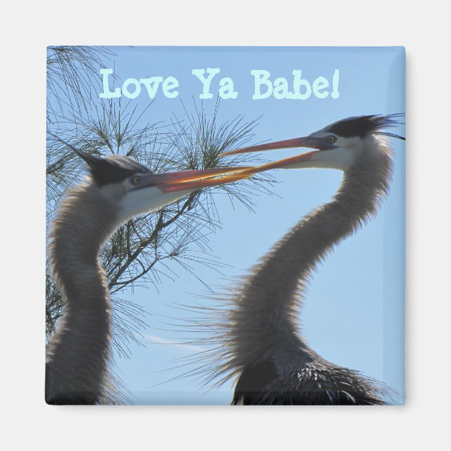 Herons in Love Magnet (Front)