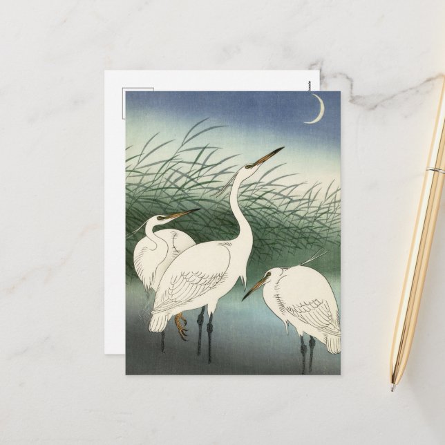 Herons in Shallow Water by Ohara Koson Holiday Postcard (Front/Back In Situ)