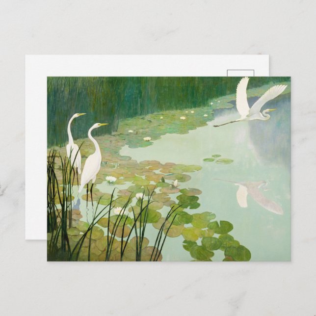 Herons in Summer by Newell Convers Wyeth Invitation Postcard (Front/Back)