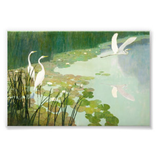 Herons in Summer by Newell Convers Wyeth Photo Print