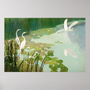 Herons in Summer by Newell Convers Wyeth Poster