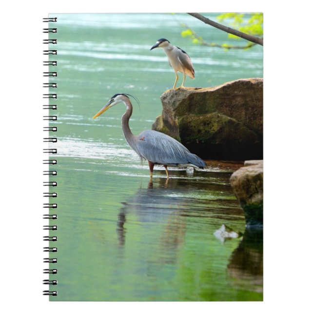 Herons Notebook (Front)