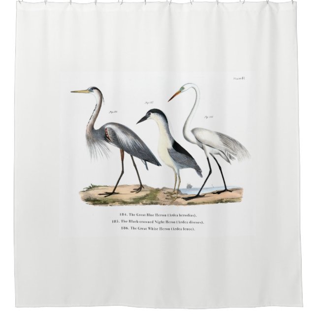 Herons Shower Curtain (Front)