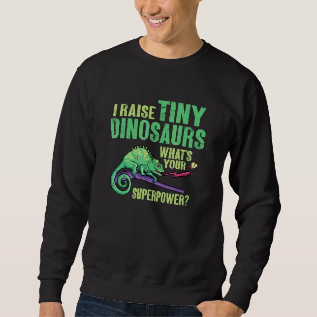Herpetologist Lizard Reptile Chameleon 1 Sweatshirt (Front)