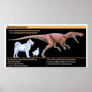 Herrerasaurus - Biology Dinosaur Jurassic Poster