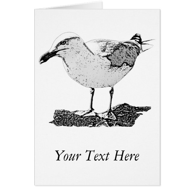 Herring Gull Card (Front)