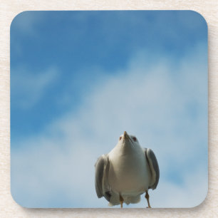 Herring Gull Cork Coaster