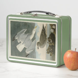 Herring Gull from John Audubon's Birds of America Metal Lunch Box