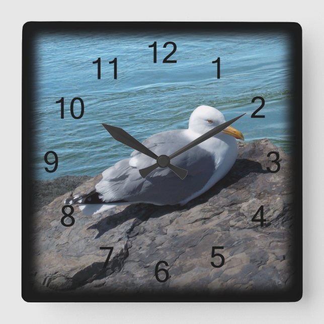 Herring Gull on Rock Jetty Square Wall Clock (Front)