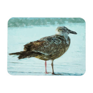 Herring Gull on the Beach Abstract Magnet