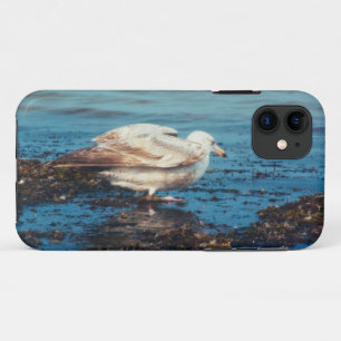 Herring Gull P1046 Case-Mate iPhone Case