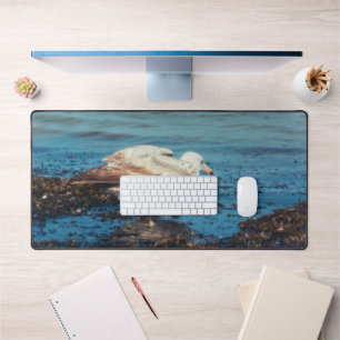 Herring Gull P1046 Desk Mat