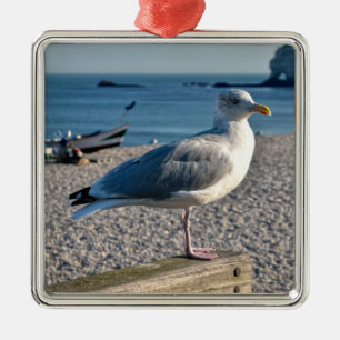 Herring gull perched on a wooden fence metal tree decoration