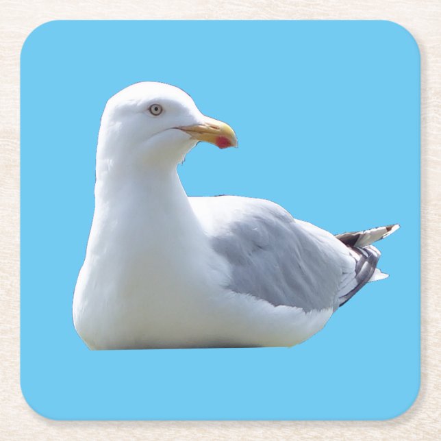 Herring Gull Sunbathing Coaster (Front)
