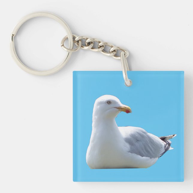 Herring Gull Sunbathing  Key Ring (Front)