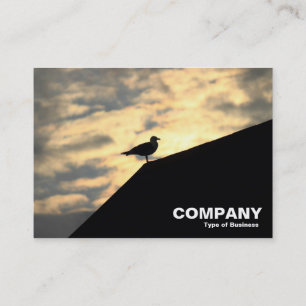 Herring Gull Sunset Business Card