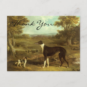 Herring's Greyhound and Spaniel; Doctor Fop Postcard