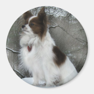 Hershey Kiss Hero Kennel Merchandise Magnet